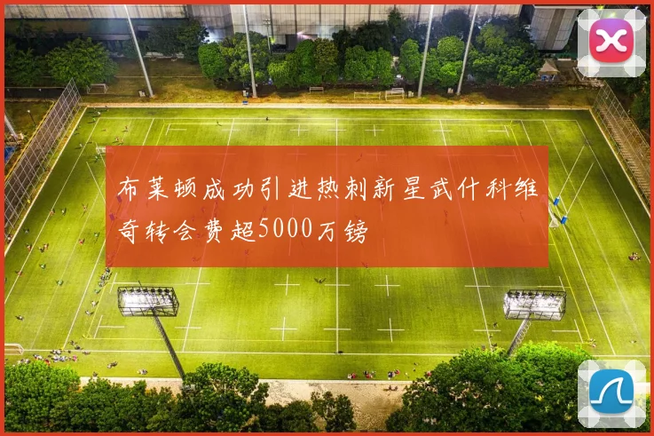 布莱顿成功引进热刺新星武什科维奇转会费超5000万镑